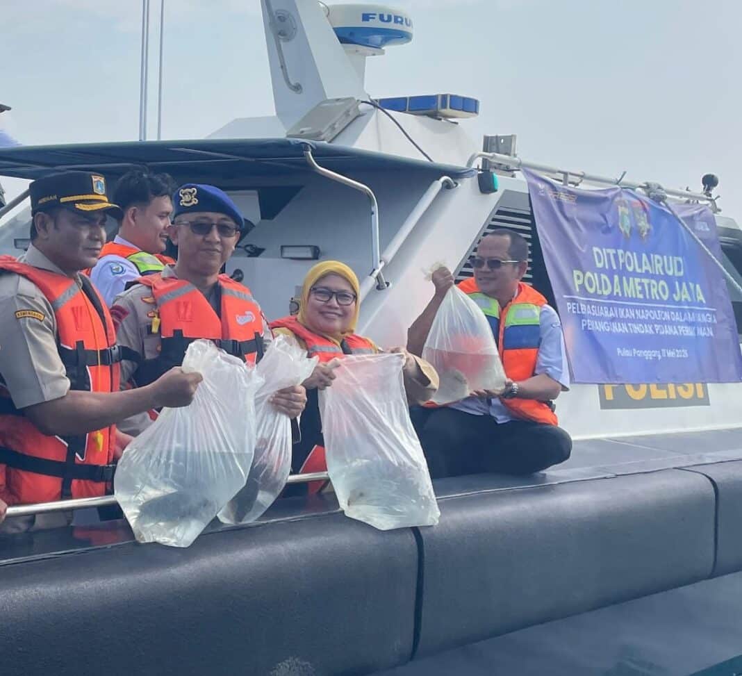 183 Ikan Napoleon Dilindungi