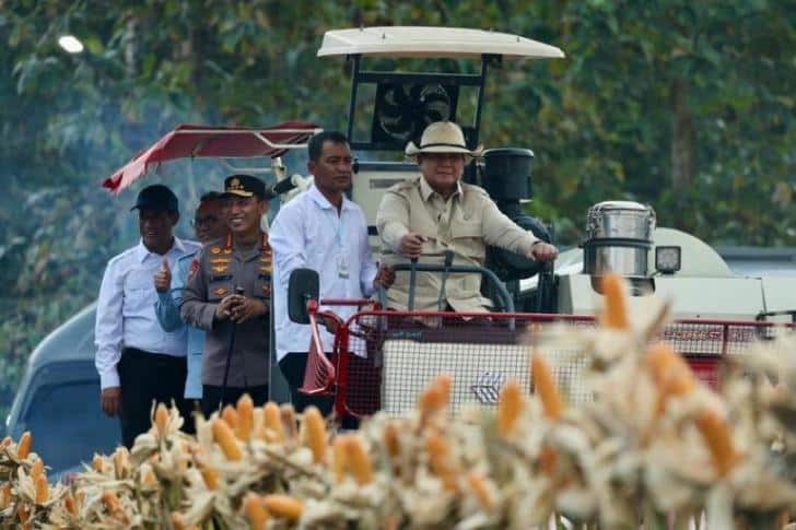Prabowo Pimpin Panen Raya Jagung Nasional 