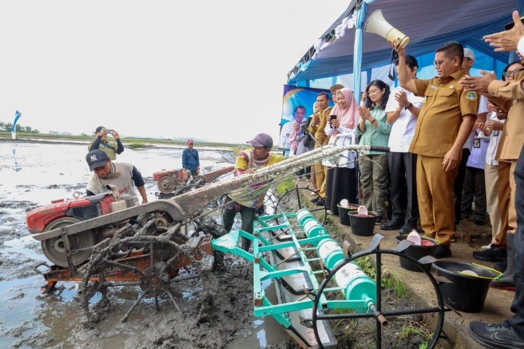 Banten Masuk 8 Besar Produksi Beras Nasional Gubernur Andra Soni Dorong Pertanian Modern